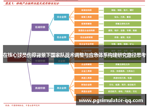 在核心球员伤停背景下国家队战术调整与应急体系构建研究路径思考