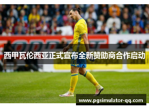 西甲瓦伦西亚正式宣布全新赞助商合作启动 西甲瓦伦西亚正式宣布全新赞助商合作启动